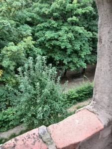 NÖ_Blick aus einem Stadtmauer-Fenster ins Grün