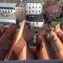 "Blick auf die Dächer von Münster" Foto: Florian Dubielczyk